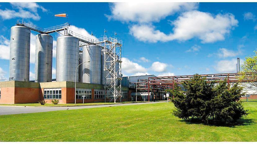 «Dueños de la cerveza» intercambian marcas en el país para evitar monopolio