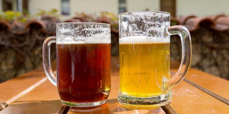 Lager y Ale, las dos familias a las que pertenecen todas las cervezas