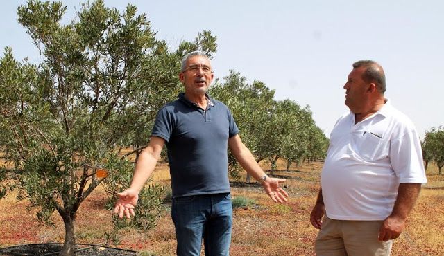 El Esparragal logra ser mejor Aceite de Canarias, aunque su objetivo es ser el Mejor Aceite de Oliva Virgen Extra Ecológico del mundo.