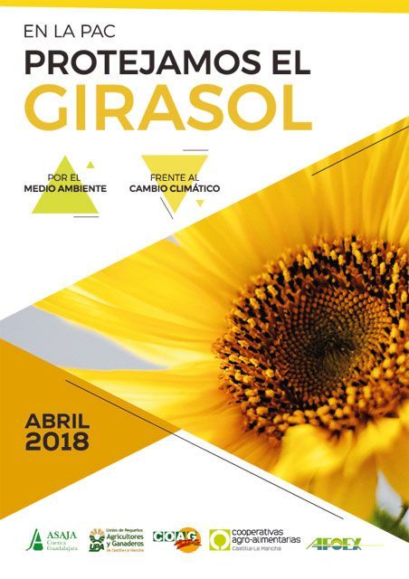 Puesta en común del sector del girasol castellano-manchego para la reforma de la PAC