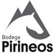 Bodegas Pirineos y la historia del Somontano