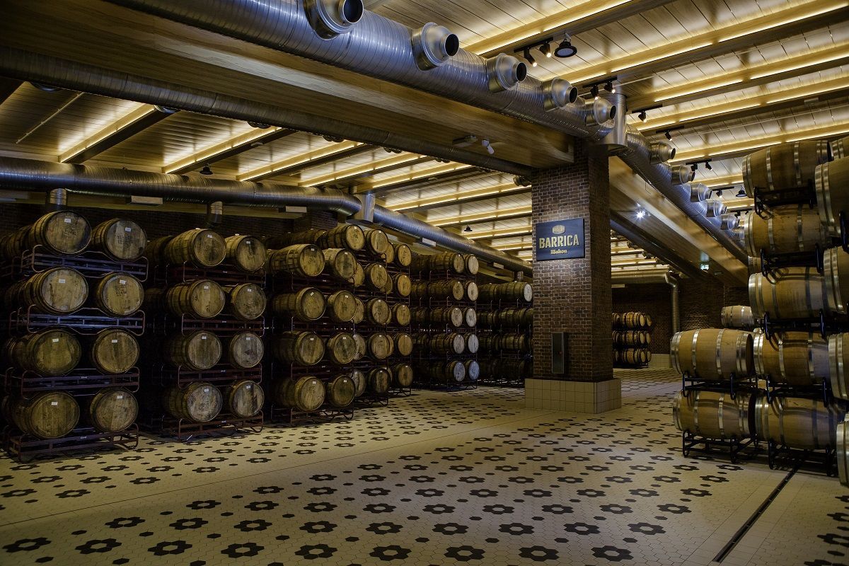 Innovación hecha cerveza