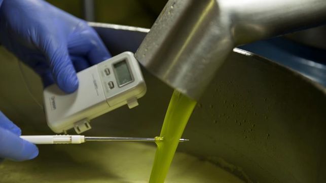 Regiones de UE piden impulsar la producción y el consumo del aceite de oliva