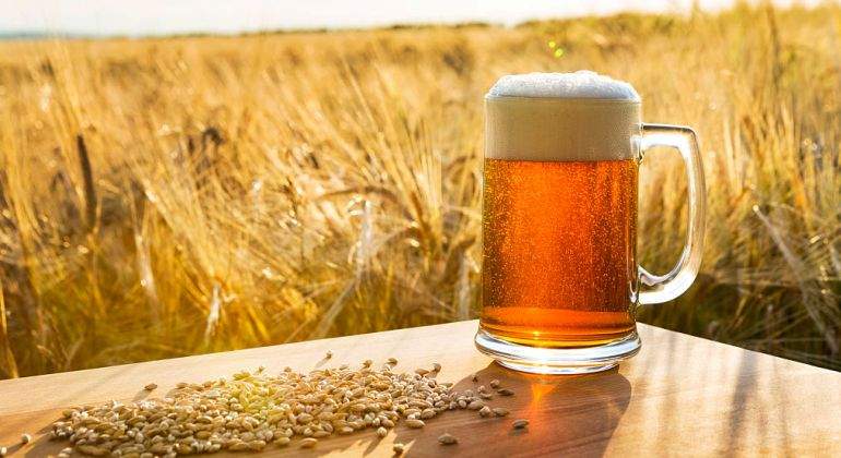 Sumiller de cerveza, una profesión desconocida en España que se ha puesto de moda