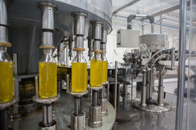 El aceite de oliva rompe con tres meses de caída de precios en origen y comienza a subir