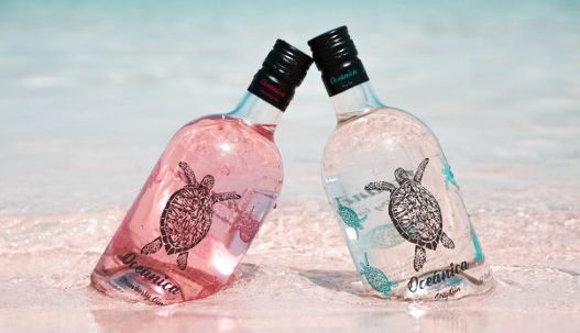 Novedad en el mercado de las ginebras: llega otra marca gallega