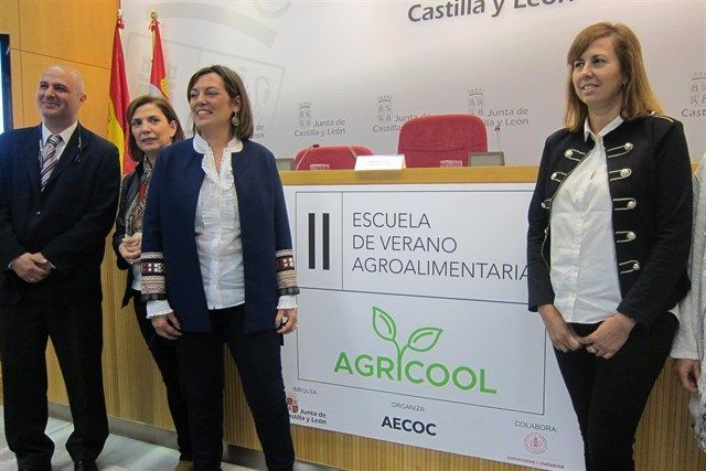 «Summer Camp del Gran Consumo» en julio para retener talento joven