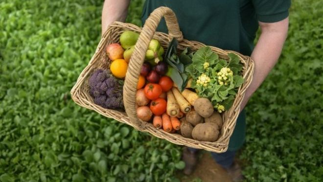Los productos Bio ya suman 282 millones de euros en ventas