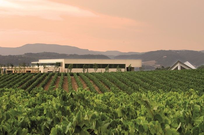 Vilarnau recibe el certificado “Wineries for Climate Protection”
