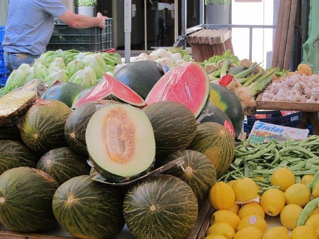 El lugar de residencia y el tamaño del hábitat tienen poca influencia en la elección de alimentos y bebidas