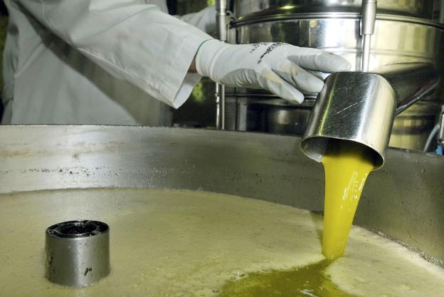 España vende su mejor aceite mucho más barato que Túnez o Italia