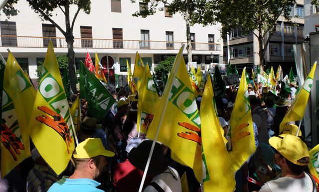 Movilización de todo el sector de aceituna de mesa ante el consulado de Estados Unidos