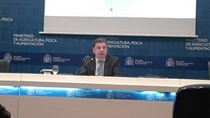 El gasto de los españoles en alimentación en 2017 creció un 3,6% frente a 2015