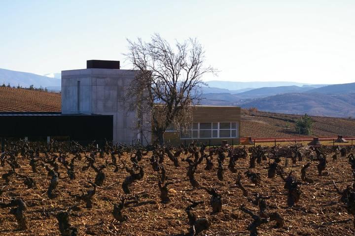 El crítico Suckling puntúa los vinos de Losada entre los mejores de España