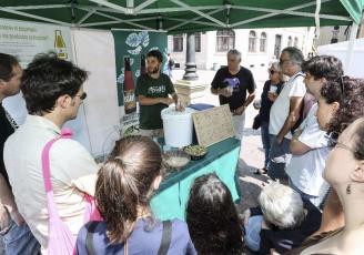 Cerveza ecológica a la sombra de la Catedral