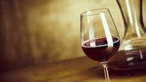 Acuerdo marco para promover la investigación tecnológica en el vino