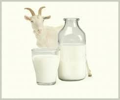 COAG denuncia descenso del precio leche de cabra de casi 50 % en cuatro años