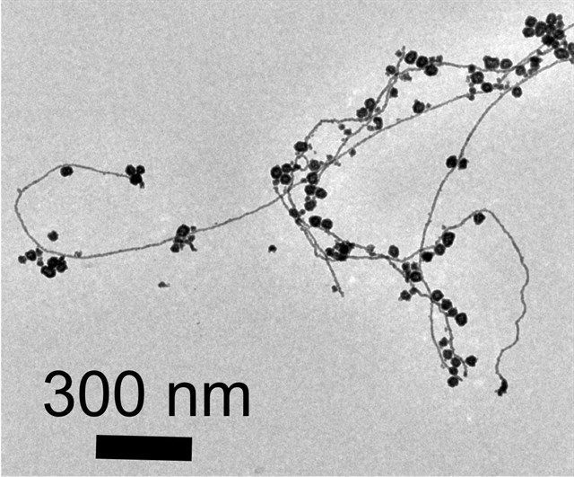 OCU pide que la información sobre el uso de nanopartículas en alimentación aparezca en las etiquetas