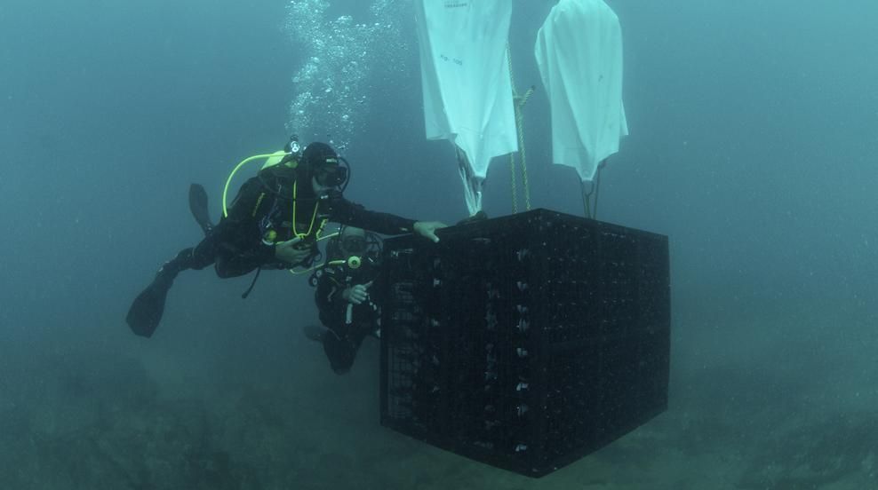 Los secretos de las bodegas submarinas