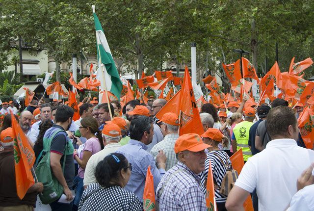 Protestas del sector productor de aceituna de mesa