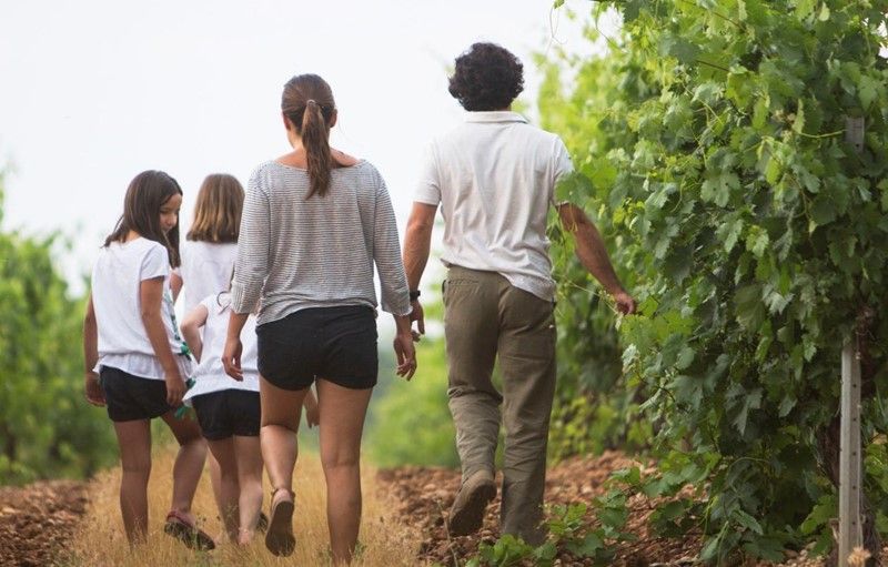 Nueve grupos bodegueros impulsan un proyecto pionero para situar a España como referente internacional de enoturismo