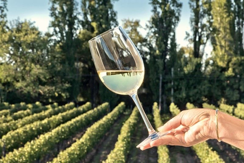 El enoturista medio gasta 162 euros al día en España, un 3,35% más