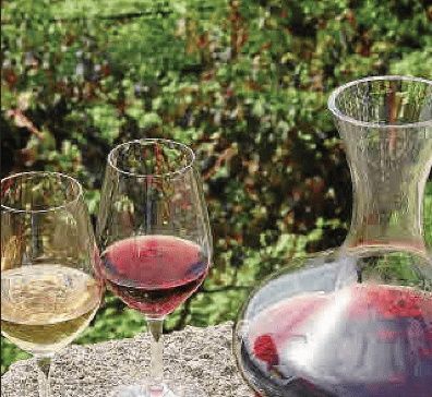 Gran incremento de producción y comercialización de vinos de Balears