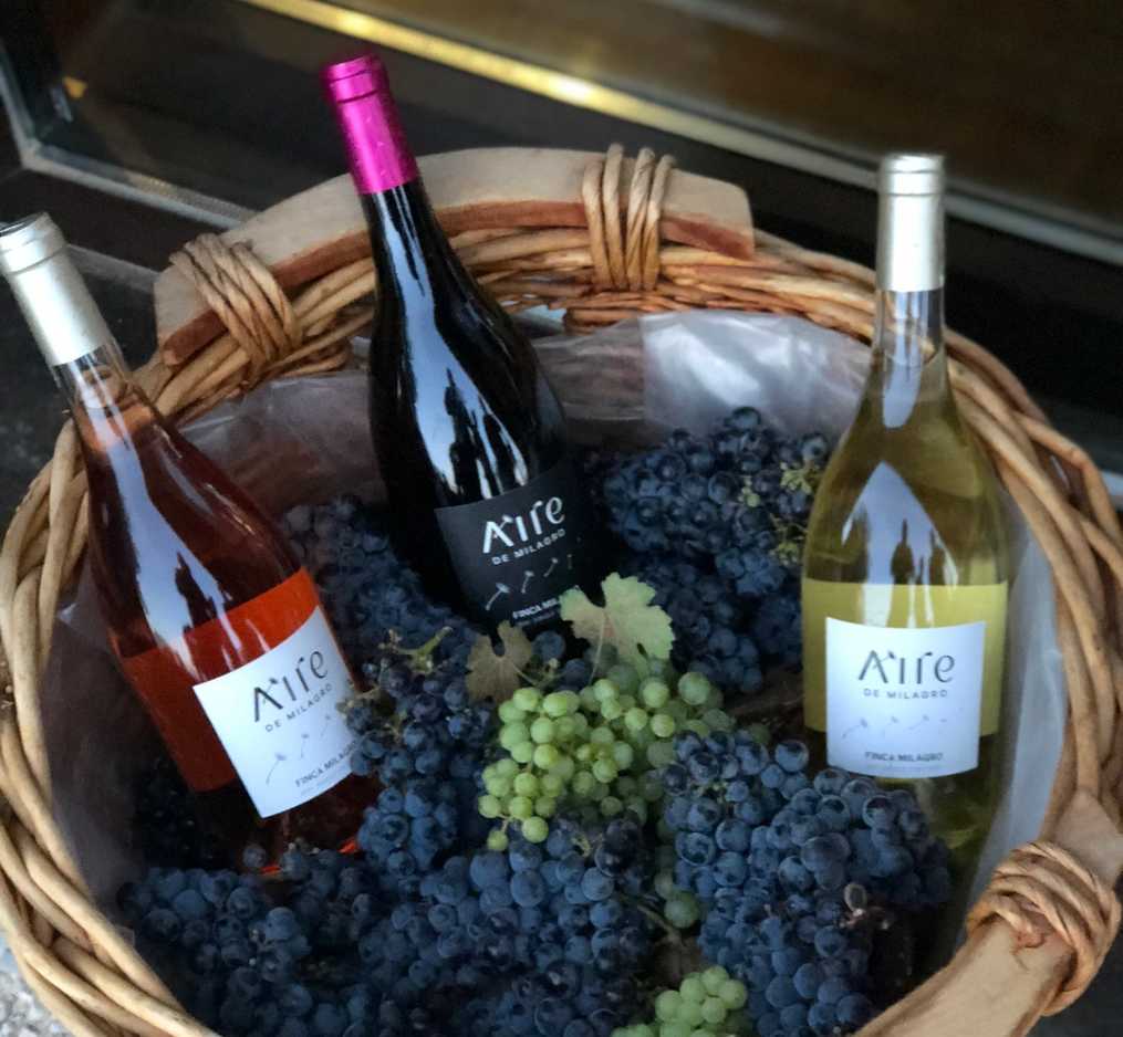 Familia Vivanco presenta su primer proyecto vinícola fuera de Rioja