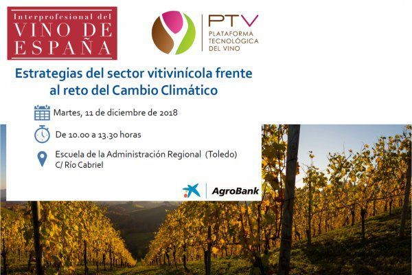 El sector del vino se dará cita en Toledo para afrontar el reto del cambio climático