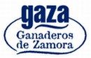 La láctea zamorana Gaza invertirá 15 millones de euros en una nueva fábrica