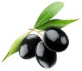 Agricultura pide a la UE controlar el precio de la aceituna por EEUU