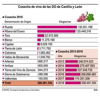 306,5 millones de kilos en una vendimia «histórica»
