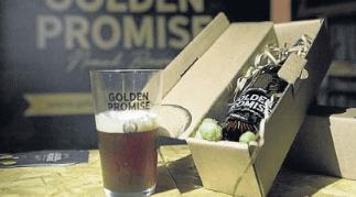Golden promise: Un sueño cumplido