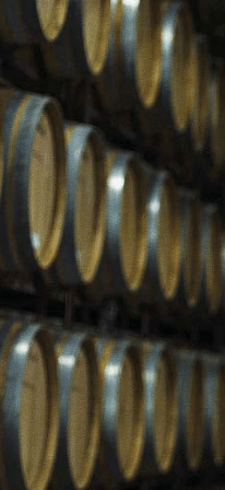 «La diversidad de Castilla y León es una ventaja, pero si vamos por separado es difícil vender los vinos»
