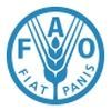 El índice de precios de los alimentos básicos de la FAO bajó en noviembre a niveles de mayo de 2016