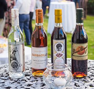 Bodegas Barbadillo desarrolla su división de espirituosos