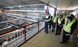 El consumo de cerveza crece un 14% durante el último lustro en la C. Valenciana