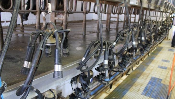 Hasta octubre, sigue creciendo la producción de mantequilla y yogur de leche de vaca mientras cae la de leche de consumo directo o el queso