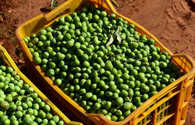 Mercado retrasado en noviembre