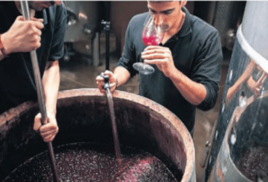 MANUAL PARA SER (EN 24 HORAS) UN EXPERTO EN VINOS