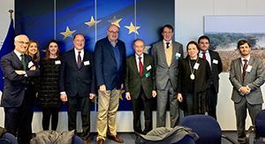 La FEV pide a Bruselas su apoyo al vino frente a desarrollos normativos desproporcionados