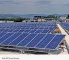 El sector vitivinícola apuesta por las renovables
