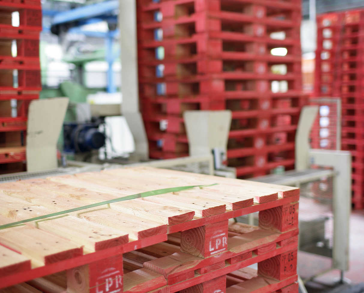 Un 2019 lleno de expectativas para los pools de cajas y palés