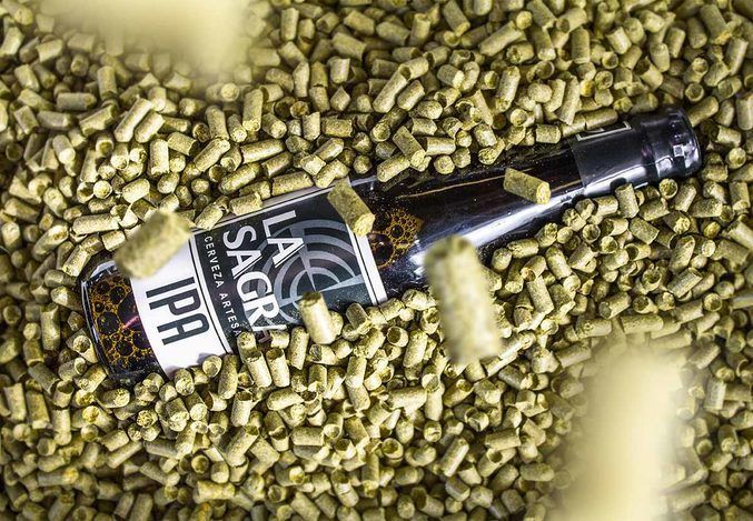 Perfil del consumidor de cerveza artesanal: masculino, adulto y diurno.