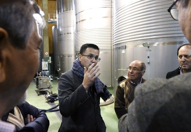 La Xunta apoyará al sector del vino gallego con más de siete millones de euros hasta 2020