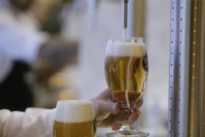 Cerveza lager: la genética abre la vía a mejorar la eficacia en su fabricación
