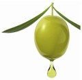 El record en la producción de aceite de oliva ha contribuido a un deterioro de los precios