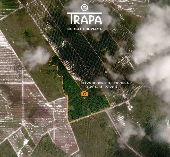 Trapa recrudece su guerra con el lobby del aceite de palma