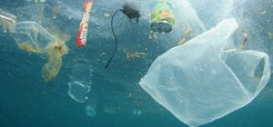 El Parlamento Europeo sella la prohibición de los plásticos de un solo uso para 2021