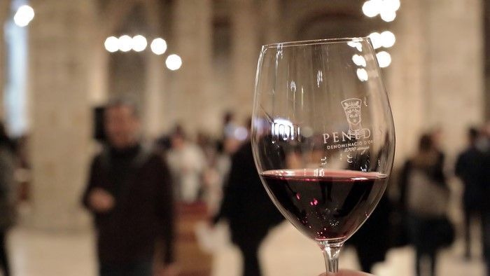 Las nuevas tendencias en vinos de la DO Penedès se presentan en la Pasarela Vinícola Penedès 2019